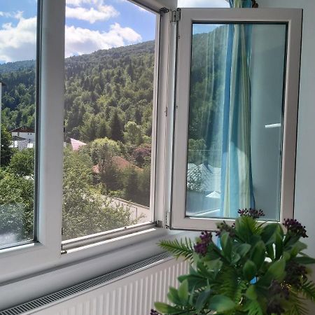 Apartment Valea Azugii Azuga Exteriér fotografie