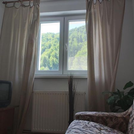 Apartment Valea Azugii Azuga Exteriér fotografie