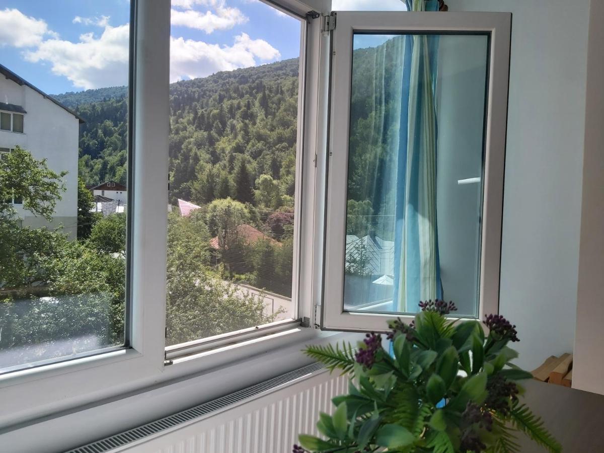 Apartment Valea Azugii Azuga Exteriér fotografie