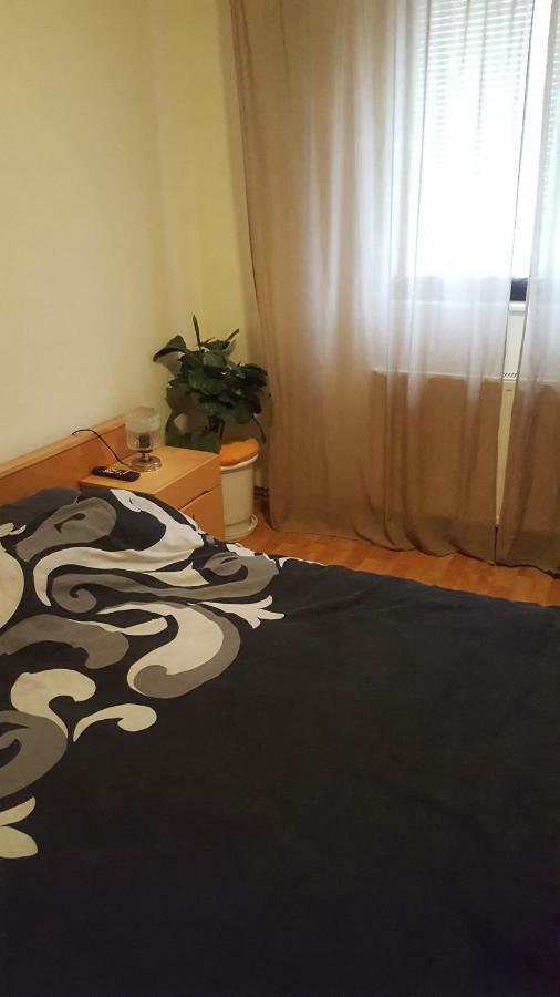 Apartment Valea Azugii Azuga Exteriér fotografie