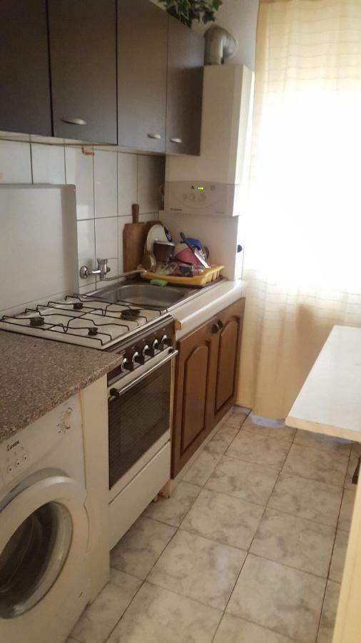 Apartment Valea Azugii Azuga Exteriér fotografie